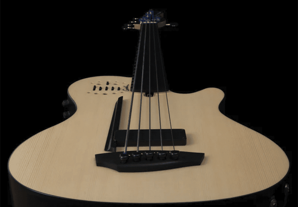 Un bajo electroacústico para conocedores - The Music Site
