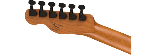 Guitarra Electrica Fender Cont Tele RH RMN 0371225568