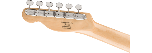 Guitarra Electrica Fender Telecaster Offset Paranormal edición limitada SJ 0377009505
