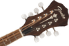 Mandolin Fender Pm-180e 0970382337