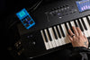 Pedal Zoom Guitarra Ms-70cdr+ Multi Stomp