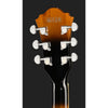 Guitarra eléctrica Ibanez AS7328-TBC Tobacco Brown — vista 11