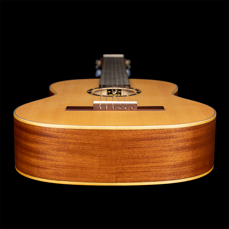 Vista 11 — Guitarra Clásica Ortega R121 Natural
