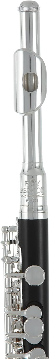 Flauta Roy Benson Pc-502 Rb700420 Piccolo