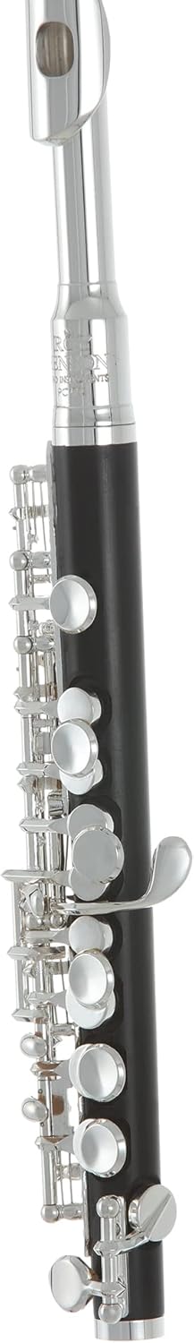 Flauta Roy Benson Pc-502 Rb700420 Piccolo