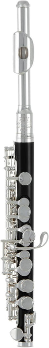 Flauta Roy Benson Pc-502 Rb700420 Piccolo