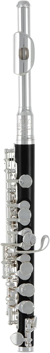 Flauta Roy Benson Pc-502 Rb700420 Piccolo
