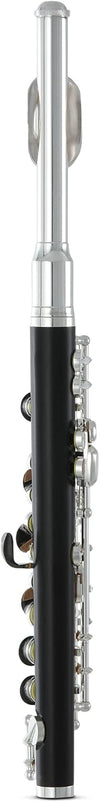 Flauta Roy Benson Pc-502 Rb700420 Piccolo