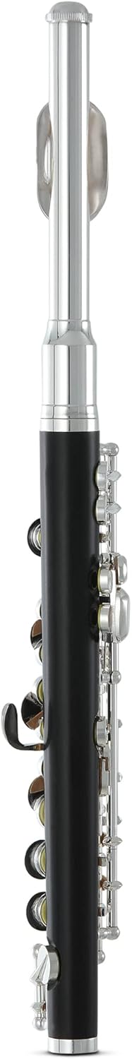 Flauta Roy Benson Pc-502 Rb700420 Piccolo