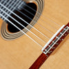 Guitarra Acustica Alhambra Linea Profesional Cedro 3847