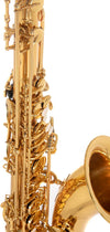 Saxofon Tenor Roy Benson Ts-202 Rb700662
