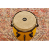 Conga Meinl AA1134SY Alexandra Alban Sunrise Yellow 11 3/4"