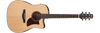 Guitarra Electroacustica Ibanez AAD170CE-LGS