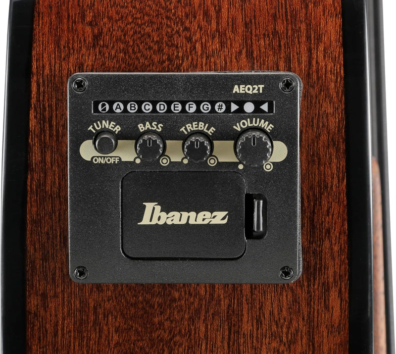 Bajo Electroacustico Ibanez Aegb25e-Tkh