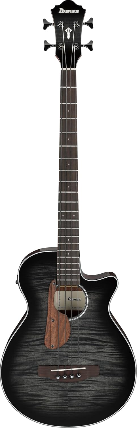 Bajo Electroacustico Ibanez Aegb25e-Tkh