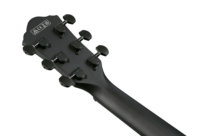 Guitarra Electroacustica Ibanez Aewc621-bot