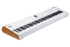 Sintetizador Arturia Astrolab 88 230711 White
