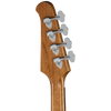 Bajo Electrico Gibson BAT4SN00TBCH1 Thunderbird Tobacco Sunburst Perimeter