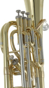 Baritono Roy Benson Bh-302 Rb701468