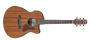 Guitarra Electroa Ibanez AAM54CE-OPN