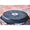 Bongo Meinl Dg400Ms Diego Galé Midnight Star