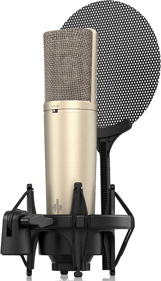 Microfono Donner Ec2802 Dc87 Condensador