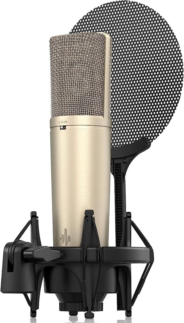 Microfono Donner Ec2802 Dc87 Condensador