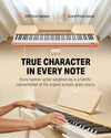 Piano Digital Donner Ec7413 Ddp-80 Natural