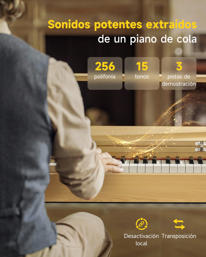 Piano Digital Donner Ec6979 R300