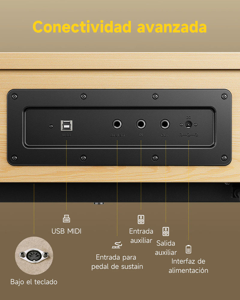 Piano Digital Donner Ec6979 R300