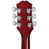 Guitarra Eléctrica Epiphone SG Prophecy, Aged Bengal Tiger Burst EISGYABTBN1 — vista 6