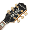 Guitarra Electrica Epiphone Eoshnagh1 Sheraton