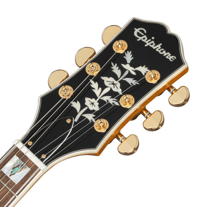 Guitarra Electrica Epiphone Eoshnagh1 Sheraton