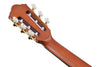 Guitarra Electroacústica Ibanez FRH10N-BSF