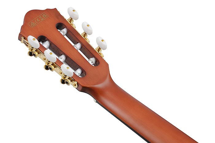 Guitarra Electroacústica Ibanez FRH10N-BSF