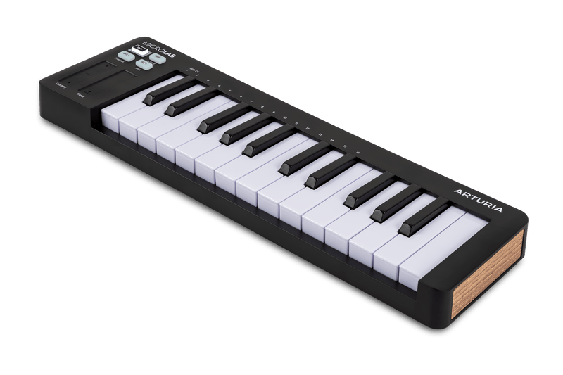 Controlador Arturia Microlab 3 231512 Black