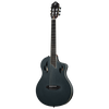 Vista del producto — RTPSTD-SBK — 1048714