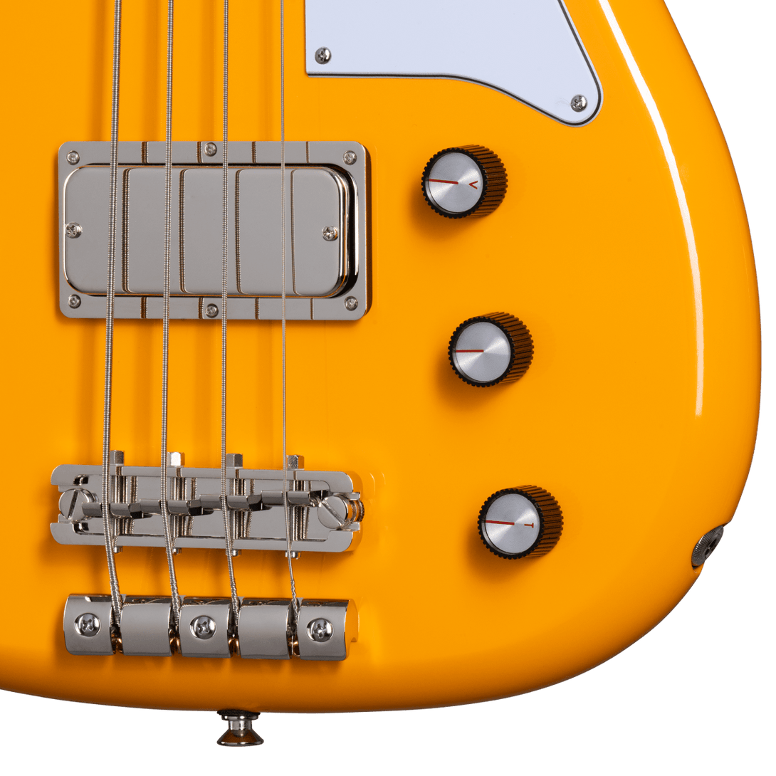 Bajo Electrico Epiphone Newport - The Music Site