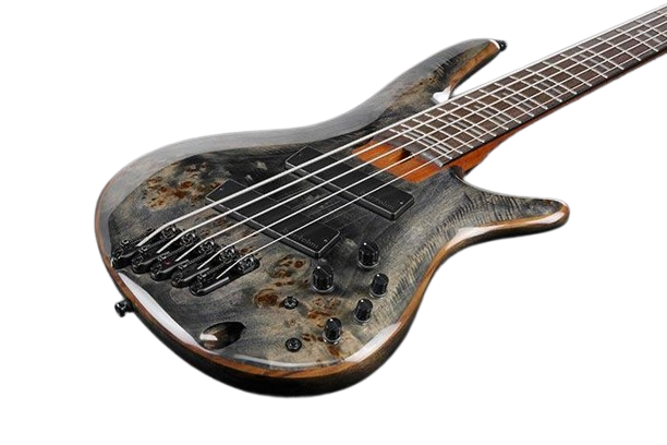 Bajo Electrico Ibanez 5 Cuerdas Srms805-Tropical Seafloor