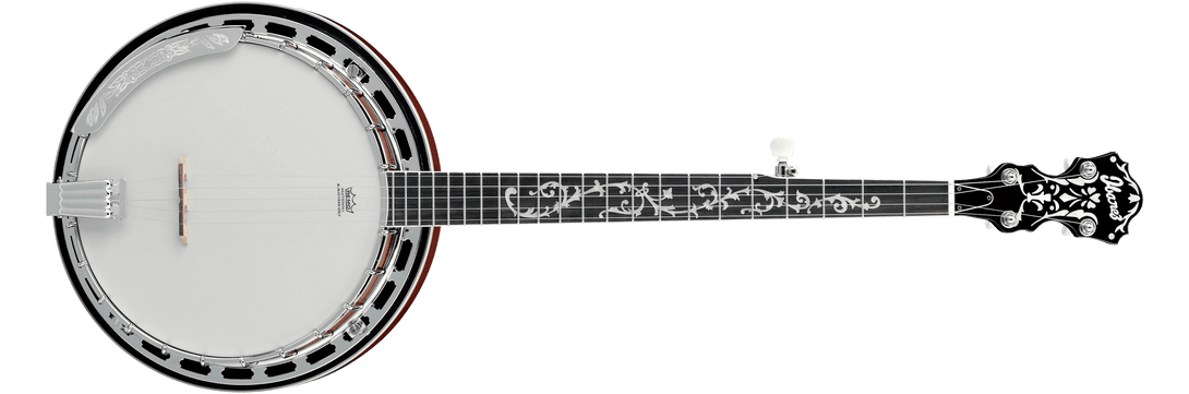 Banjo Ibanez Banjo B200 - The Music Site