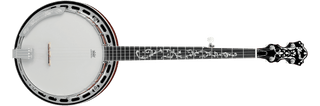 Banjo Ibanez Banjo B200 - The Music Site