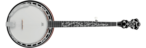 Banjo Ibanez Banjo B200 - The Music Site