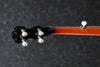 Banjo Ibanez Banjo B200 - The Music Site