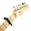 Transportador D Addario PW-CP-19 — vista 2