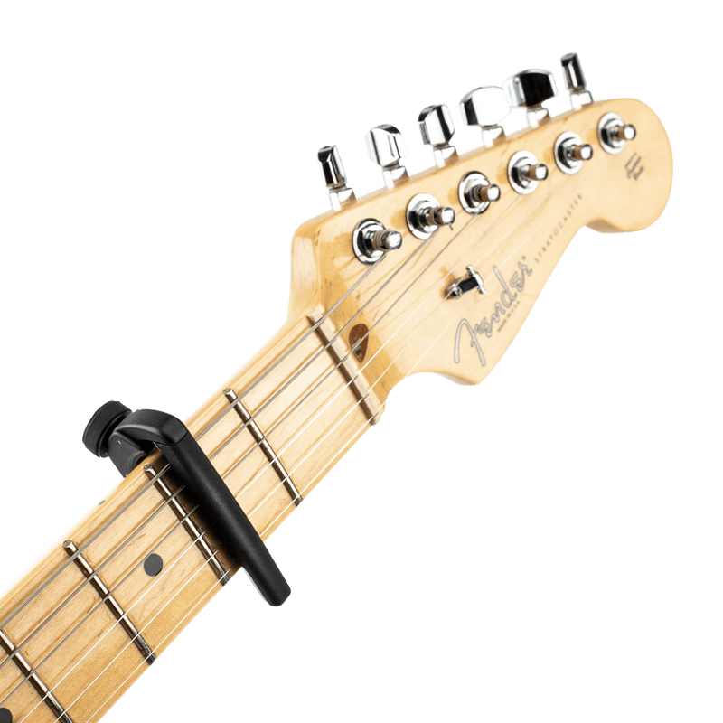 Transportador D Addario PW-CP-19 — vista 2
