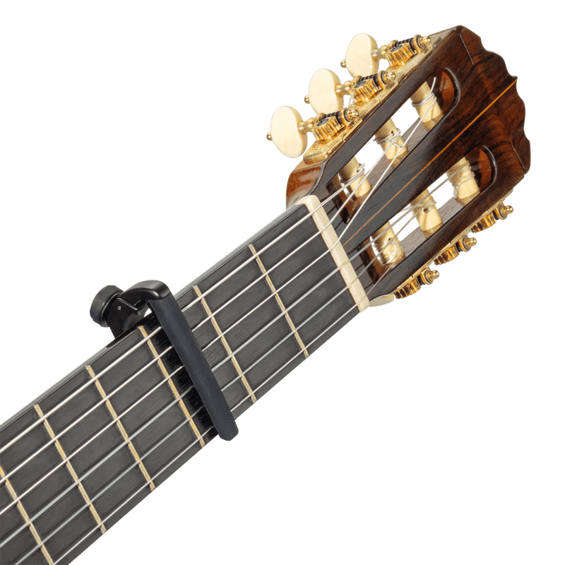 Transportador D Addario PW-CP-19 — vista 3