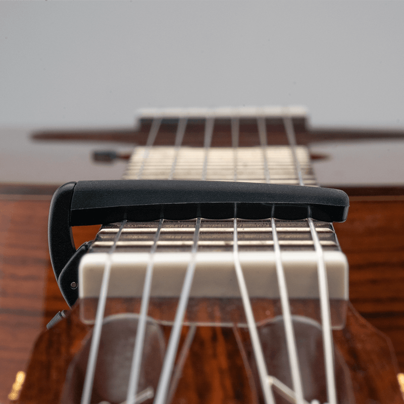 Transportador D Addario PW-CP-19 — vista 6