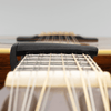 Transportador D Addario PW-CP-19 — vista 7