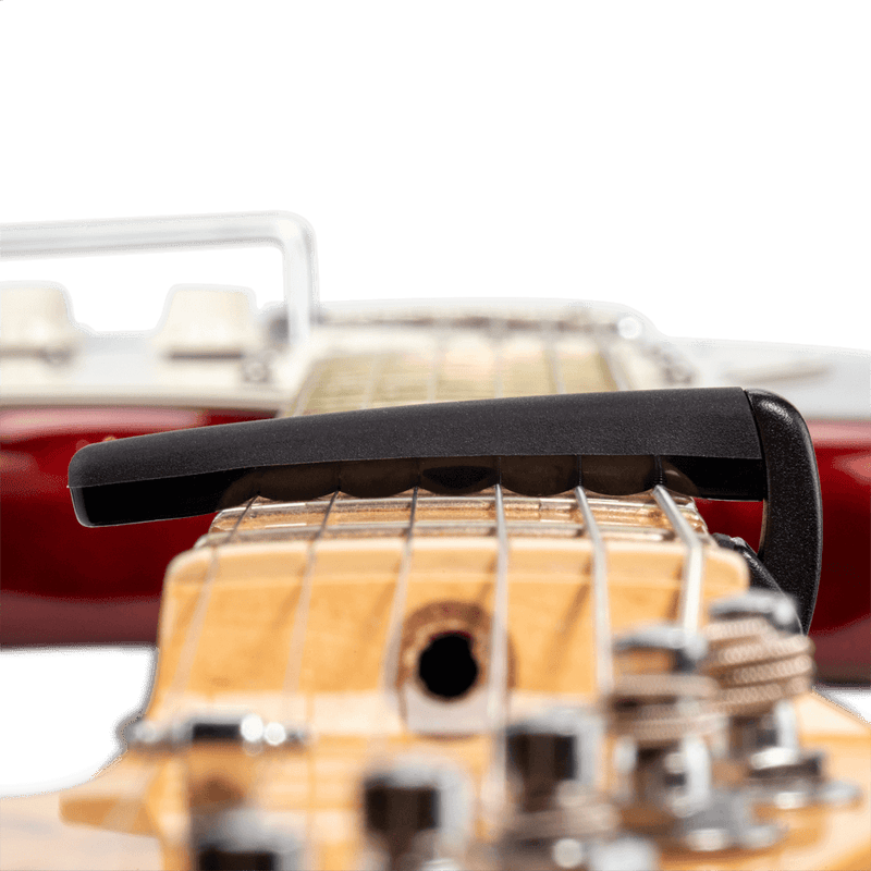 Transportador D Addario PW-CP-19 — vista 8