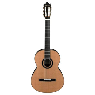 Guitarra Acustica Ibanez Ga15-Nt